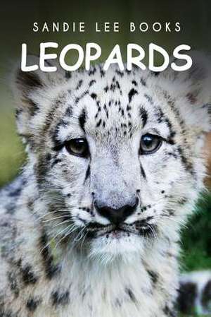 Leopards - Sandie Lee Books de Sandie Lee Books