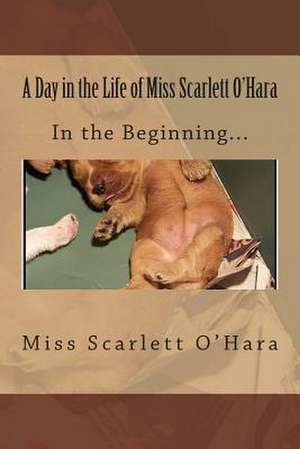 A Day in the Life of Miss Scarlett O'Hara de Miss Scarlett O'Hara