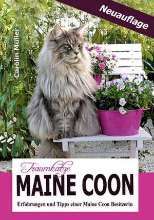 Traumkatze Maine Coon - Erfahrungen Und Tipps Einer Maine Coon Besitzerin de Carolin Muller