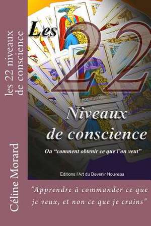 Les 22 Niveaux de Conscience de Celine Morard