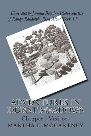 Adventures in Durst Meadows de Martha L. McCartney
