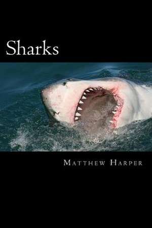 Sharks de Matthew Harper