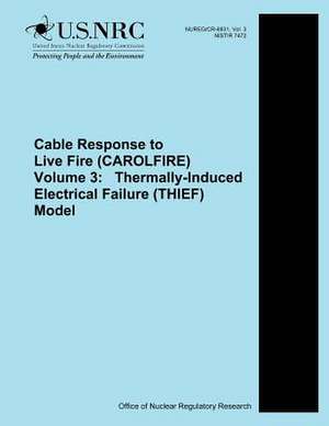 Cable Response to Live Fire (Carolfire) Volume 3 de U. S. Nuclear Regulatory Commission