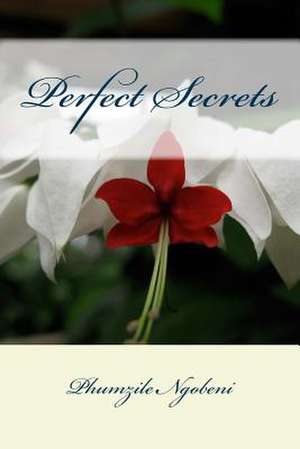 Perfect Secrets de Phumzile Ngobeni