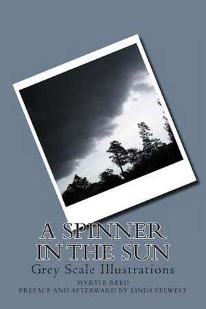 A Spinner in the Sun de Myrtle Reed