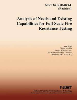 Analysis of Needs and Existing Capabilities for Full-Scale Fire Resistance Testing de Jesse Beitel