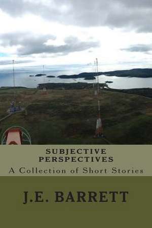 Subjective Perspectives de J. E. Barrett