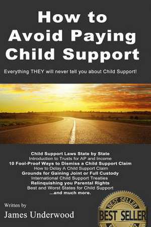 How to Avoid Paying Child Support de James Underwood