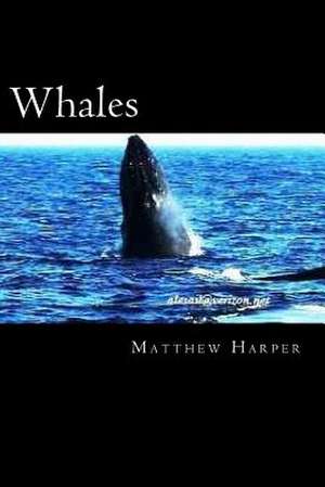 Whales de Matthew Harper