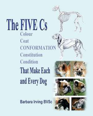 The Five CS de Barbara Irving