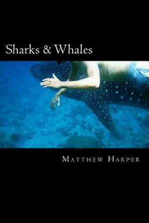 Sharks & Whales de Matthew Harper