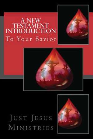 A New Testament Introduction to Your Savior de Just Jesus Ministries