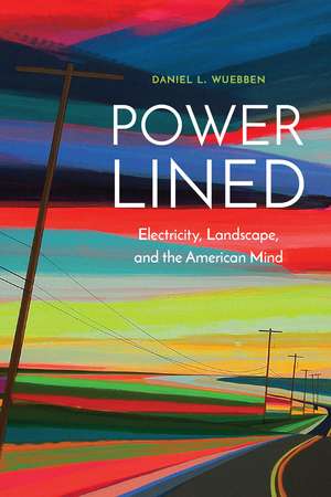 Power-Lined: Electricity, Landscape, and the American Mind de Daniel L. Wuebben