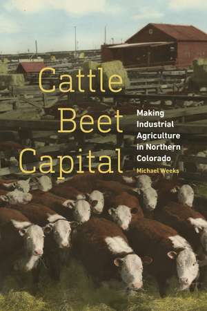 Cattle Beet Capital: Making Industrial Agriculture in Northern Colorado de Michael Weeks