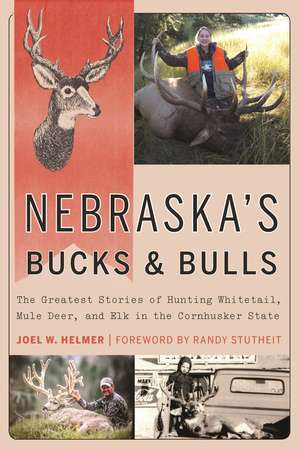 Nebraska's Bucks and Bulls: The Greatest Stories of Hunting Whitetail, Mule Deer, and Elk in the Cornhusker State de Joel W. Helmer