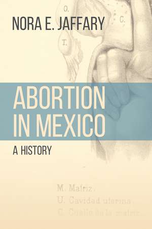 Abortion in Mexico: A History de Nora E. Jaffary