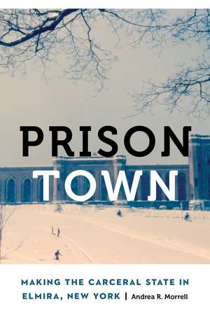 Prison Town: Making the Carceral State in Elmira, New York de Andrea R. Morrell