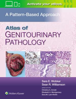 Atlas of Genitourinary Pathology: A Pattern Based Approach de Sara E. Wobker MD, MPH