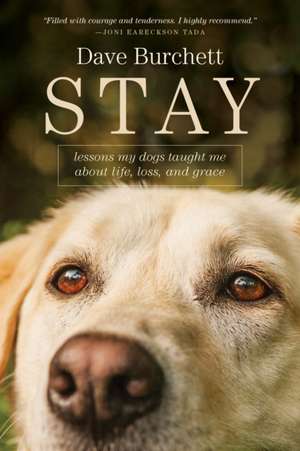 Stay de Dave Burchett