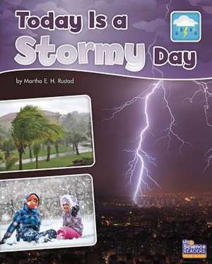 Today Is a Stormy Day de Martha E. Rustad