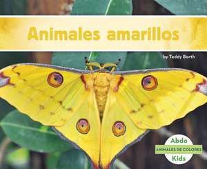 Animales Amarillos de Teddy Borth