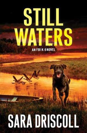 Still Waters de Sara Driscoll