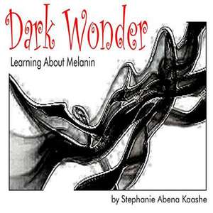 Dark Wonder de Stephanie Abena Kaashe