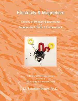 Electricity & Magnetism de M. Schottenbauer
