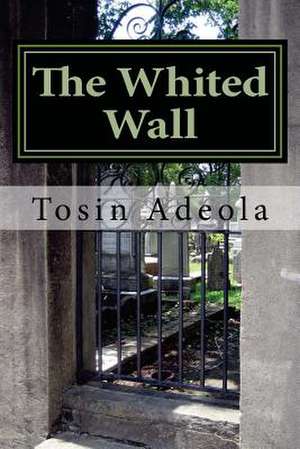 The Whited Wall de Tosin a. Adeola