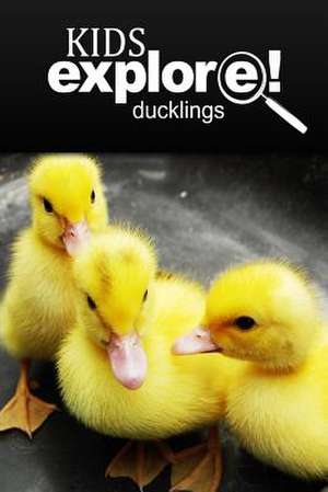 Ducklings - Kids Explore de Kids Explore!