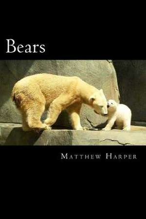 Bears de Matthew Harper