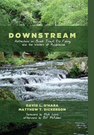 Downstream: A Biannual Journal of Theology, Culture, and History de David L. O'Hara