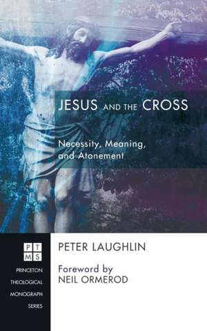 Jesus and the Cross de Peter Laughlin