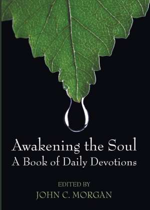 Awakening the Soul de John C. Morgan