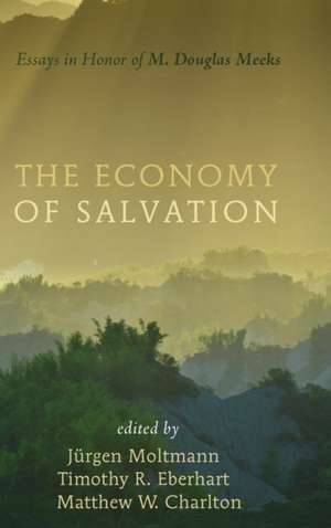 The Economy of Salvation de Matthew Charlton