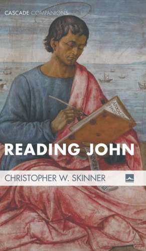 Reading John de Christopher W. Skinner