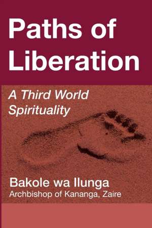 Paths of Liberation de Bakole Wa Ilunga