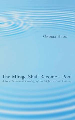 The Mirage Shall Become a Pool de Ondrej Hron