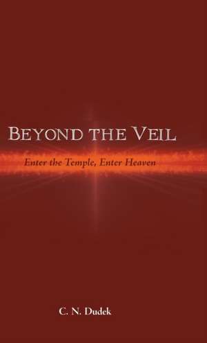 Beyond the Veil de C. N. Dudek