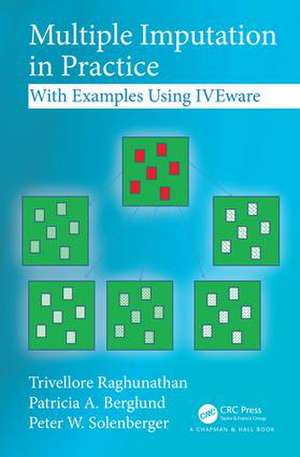 Multiple Imputation in Practice: With Examples Using IVEware de Trivellore Raghunathan