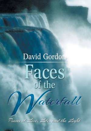 Faces of the Waterfall de David Gordon