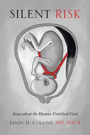 Silent Risk de Jason H. Collins MD Mscr