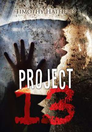 Project 13 de Timothy Hatfield