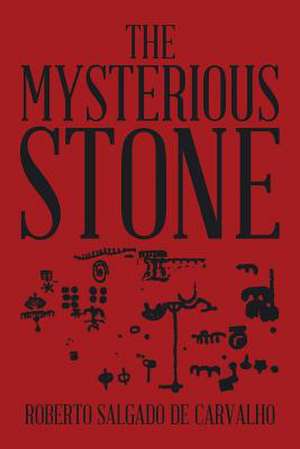 The Mysterious Stone de Roberto Salgado De Carvalho