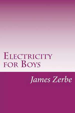 Electricity for Boys de James Slough Zerbe