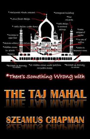 There's Something Wrong with the Taj Mahal de Szeamus Chapman