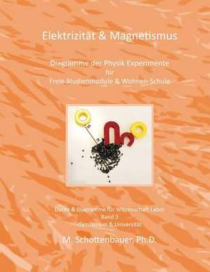 Elektrizitat & Magnetismus de M. Schottenbauer