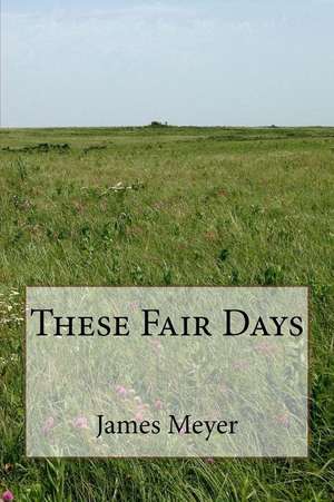 These Fair Days: How the Bigger Discussion Got an Industry Talking de James Meyer