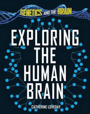 Exploring the Human Brain de Catherine Loveday