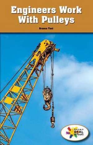 Engineers Work with Pulleys de Branca Tani